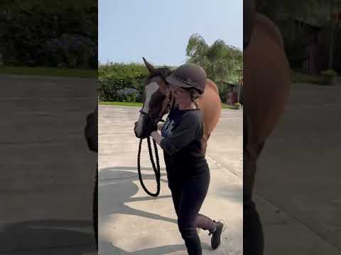 Video 1
