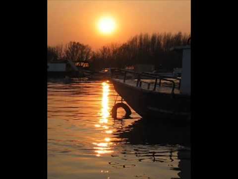 Predrag Cune Gojkovic   Poslednja sajka