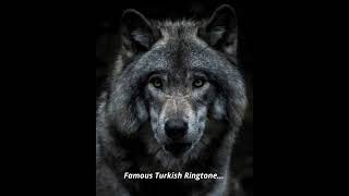Download lagu Ringtone | ringtone 2022 | Turkish BGM | Turkish ringtone | Famous  ringtone #ringtone #youtube mp3