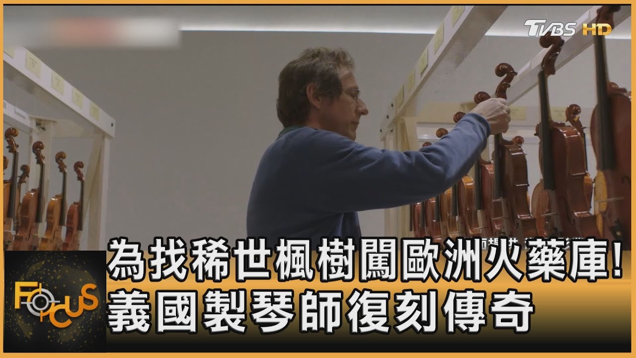 為找稀世楓樹闖歐洲火藥庫！義大利製琴師復刻傳奇