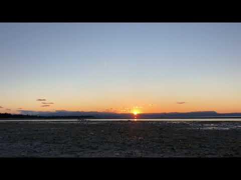 The Waves (Elisa)-Piccolo Coro Artemìa