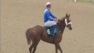 ABIYAH ATHBAH makes a promising debut at Chelmsford