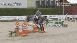 Elan Blue Z   Marek Lewicki   MPMK 21 08 2016