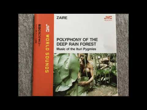polyphony of the deep rain forest [music of the lturi pygmies]密林のポリフォニー　[イトゥリ森ピグミーの音楽]