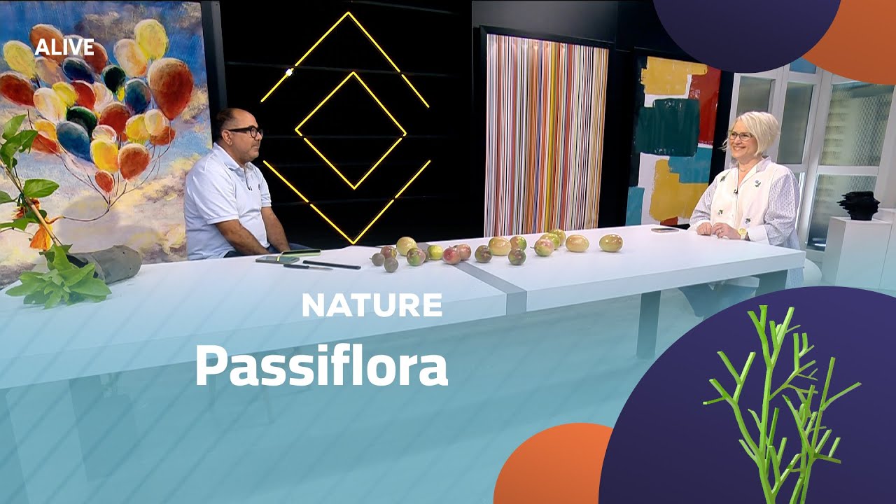 Nature - 05/08/2025 - Passiflora