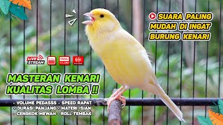Download lagu Kenari GACOR NGEREK‼️ Masteran Kenari PAUD dan Pancingan Kenari MACET BUNYI dan Betina NGIWIR - 132 mp3