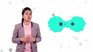 How do Organisms Reproduce - 4 | Types of Asexual Reproduction - Fragmentation | CBSE Class 10