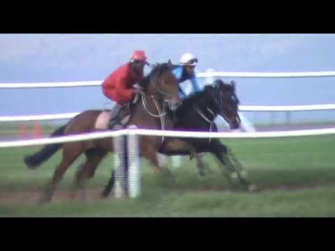 2012-09-01 Slinky the Cat trackwork