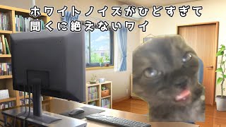 ゲーム実況者の通る道【猫ミーム】