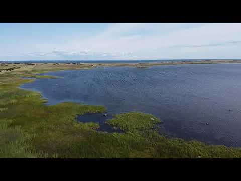 Muhu Obuku Jüri Kalama nina vaated vol1