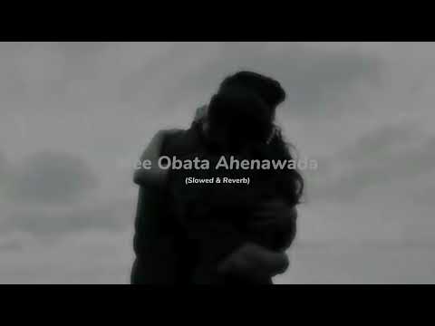 Mee Obata Ahenawada (Slowed & Reverb) - Kasun Kalhara