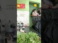Couple Masti Vlog 🫦 Romantic New Couple Couple Love Husband Wife Romantic Vlogs Masti
