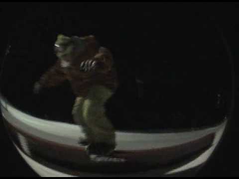 get assfucked in hopfen