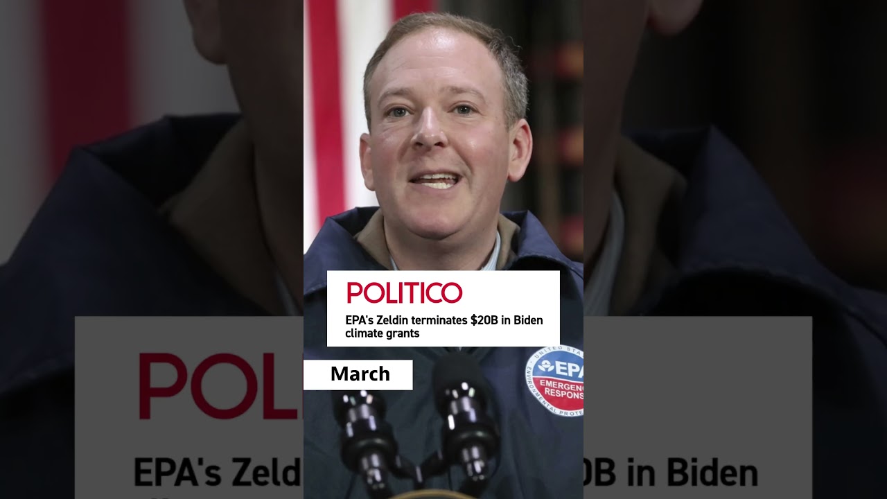 12 months of Zeldin