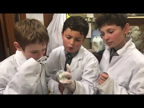 Claires Court Senior Boys - Science Week 'Catch me if you can'