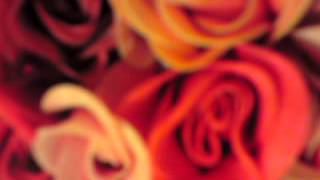 爱永远不会消失~love will never disappear~2012~May~24