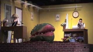 MHS: Little Shop of Horrors- Call Back in the Morning