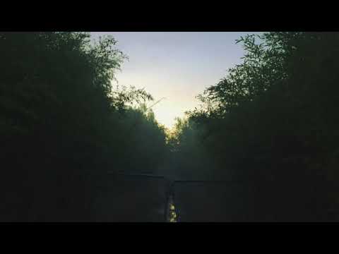 Bas Amro - If There's More