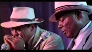 John Cephas and Phil Wiggins - Baby, What You Want Me To Do?, Walking Blues (1999)