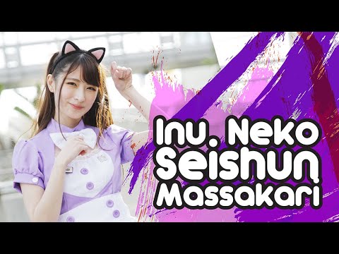 Inu Neko Seishun Massakari いぬねこ。青春真っ盛り Wa-Suta The World Standard Idol Dance Mirror Cover
