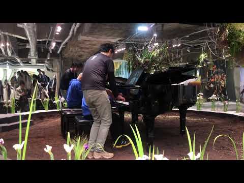 Der Flohwalzer (※ Inspiration Four Hands)