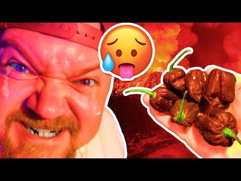 Hottest pepper in the world chocolate bhutlah