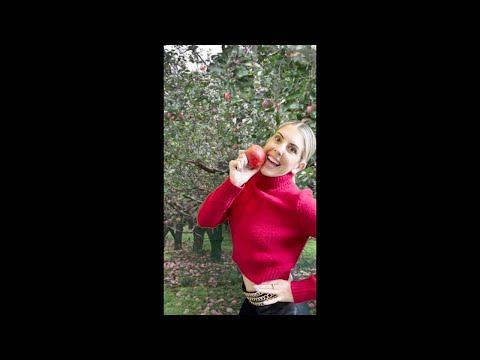 Babe, this is important.| #shorts #fall #hannadickinson