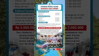 Download lagu Estimasi modal usaha budidaya ikan cupang mp3 Download lagu Estimasi modal usaha budidaya ikan cupang mp3