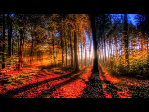 David West ft. Andreas Hermansson - Larry Mountains (Original Mix)