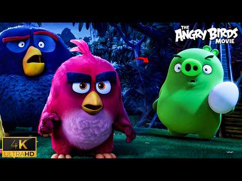 Pigs Steal the Eggs Scene | Red vs Pig | The Angry Birds (2016)