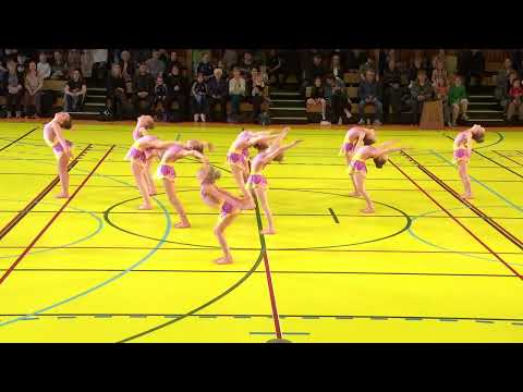 Framsýning 2024 - Sun kl 14 - Pinkur Prima estetiskt Fyrireikingarlið