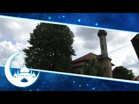 Tuzlanski vjerski objekti – Šarena džamija