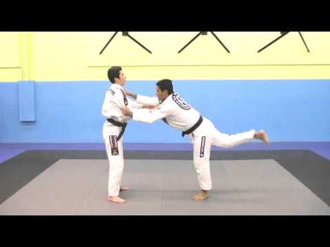 SDBJJ: TAKEDOWNS - IPPON SEOI NAGE