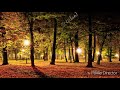 Imagine That - Don Williams ft. Keith Urban (lyrics)