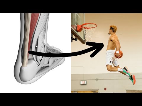 The Science Behind Training Your Tendons For Jumping