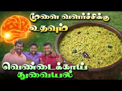 Brain Boost Recipe 💥 மூளை வளர்ச்சிக்கு உதவும் வெண்டைக்காய் துவையல்  செய்வது எப்படி 🤔 Okra Chutney