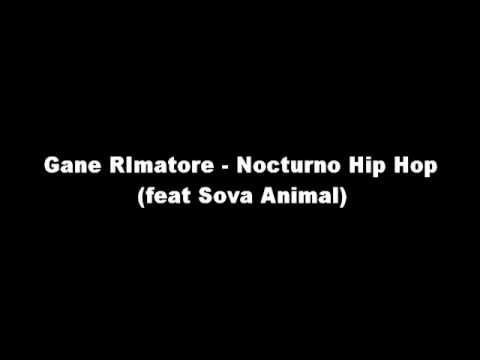 Gane RImatore - Nocturno Hip Hop (feat Sova Animal)