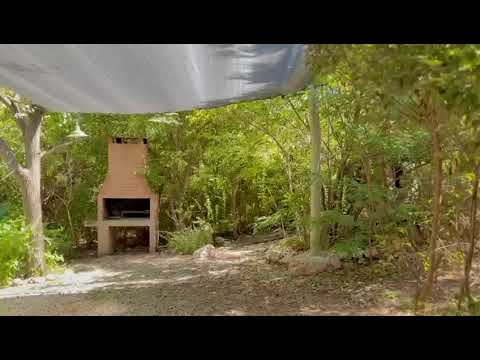 Video de El Mirador