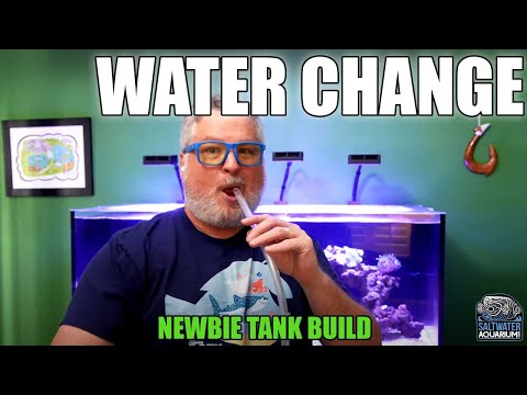 WATER CHANGES In Your Saltwater Aquarium - Newbie Tank Build