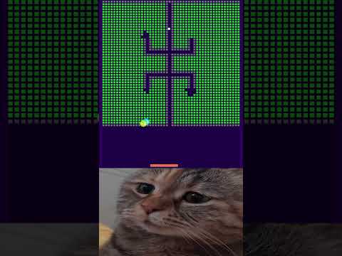 chipi chipi chapa chapa #cat #cute #chipichipi #brickbreaker #shorts