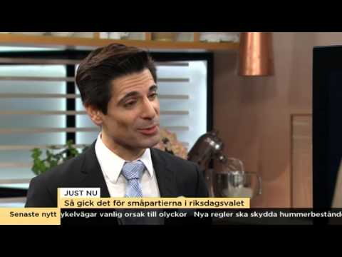 Så gick det för småpartierna i riksdagsvalet - Nyhetsmorgon (TV4)