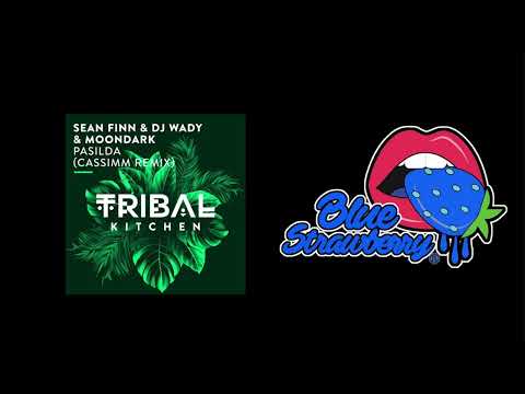 Sean Finn & DJ Wady & MoonDark - Pasilda (CASSIMM Remix)