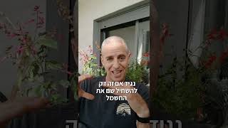 איפה ממוקם פתח הניקוז במרפסת שלכם?