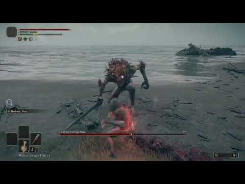 Bunk vs Leonine Misbegotten