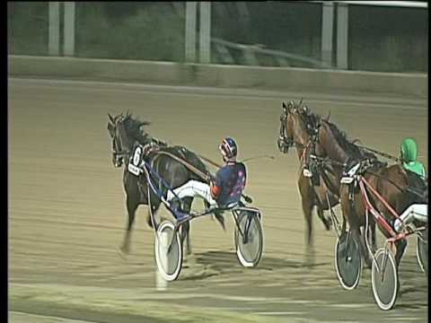 Trotto 08/07/2017 - 7ª corsa