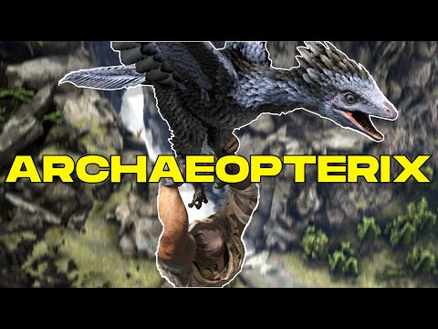 HOW TO TAME AN ARCHAEOPTERYX & ALL ITS SKILLS (PC, PS & XBOX) - ARK