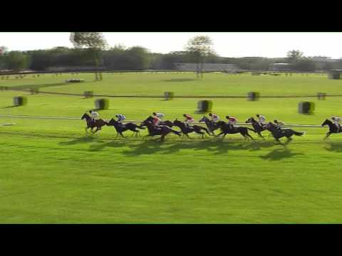 BA 21.5.2017 - Dostihy 8 - 27. Prípravná cena NutriHorse