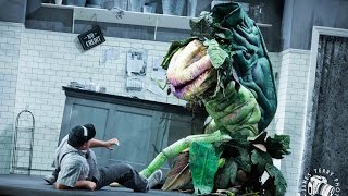 &quot;Feed Me&quot; Featuring Brent Hill (Little Shop of Horrors: Australia)