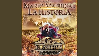 Antes De Que Te Vayas Lyrics English Translation