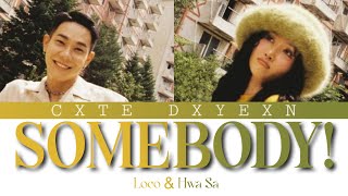 Download lagu Loco (로꼬) & Hwa Sa (화사) “Somebody!” Lyrics [Color Coded_Han_Rom_Eng] mp3